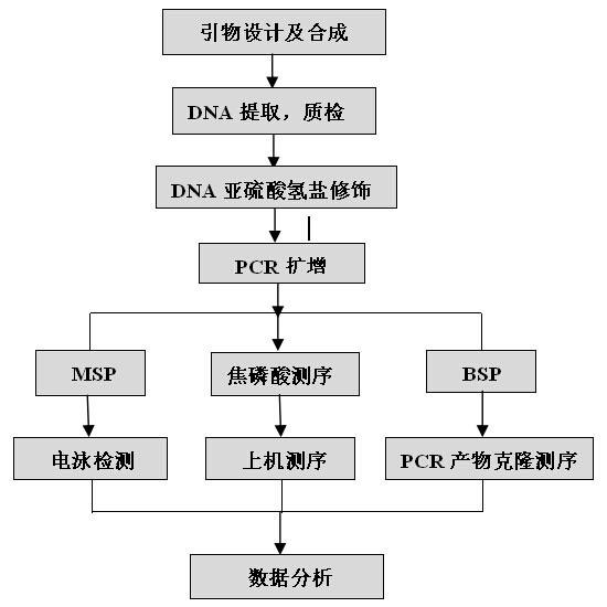 DNA甲基化檢測(cè)