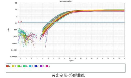 11 熒光定量-溶解曲線